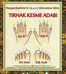 TIRNAK KESME &Acirc;D&Acirc;BI (Nasıl bir sıra takip etmeli?)